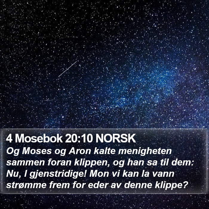 4 Mosebok 20:10 NORSK Bible Study