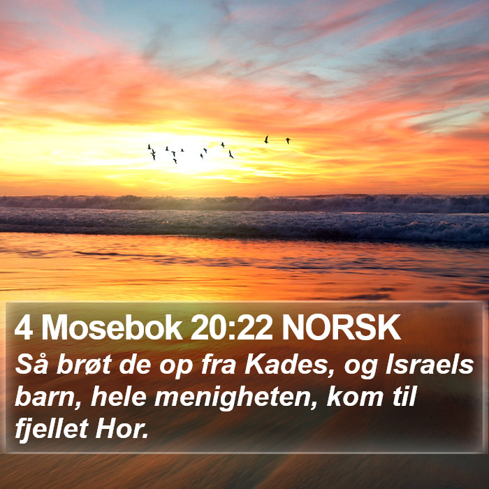 4 Mosebok 20:22 NORSK Bible Study