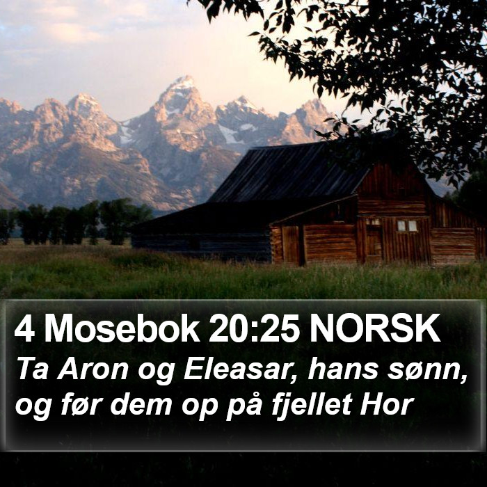 4 Mosebok 20:25 NORSK Bible Study