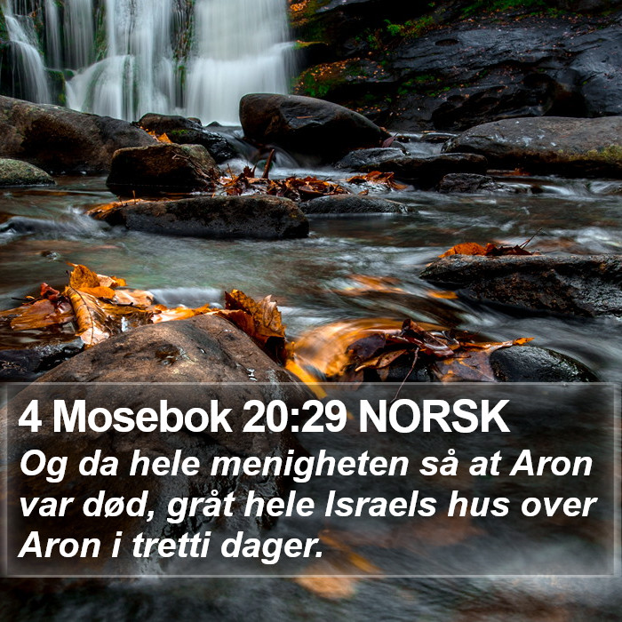 4 Mosebok 20:29 NORSK Bible Study