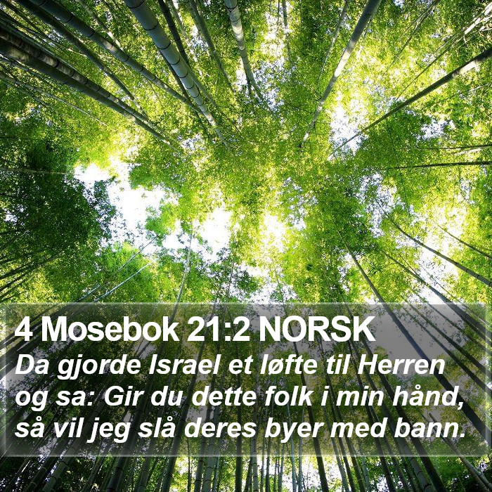 4 Mosebok 21:2 NORSK Bible Study