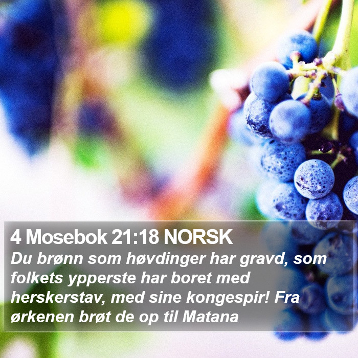 4 Mosebok 21:18 NORSK Bible Study