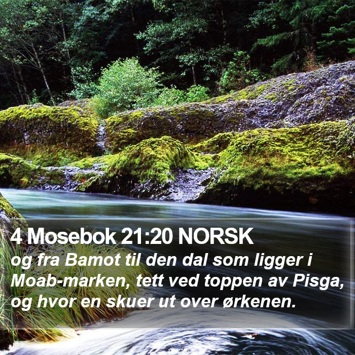 4 Mosebok 21:20 NORSK Bible Study