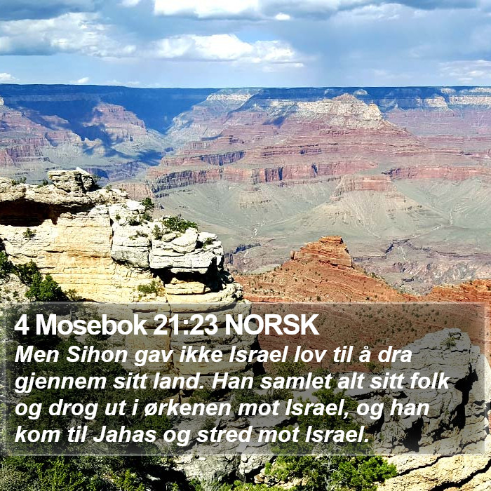 4 Mosebok 21:23 NORSK Bible Study