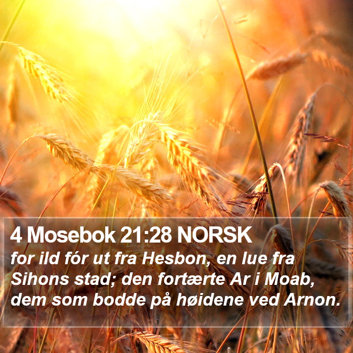 4 Mosebok 21:28 NORSK Bible Study