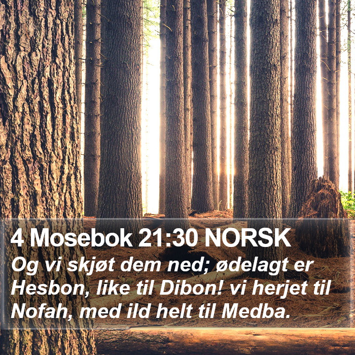 4 Mosebok 21:30 NORSK Bible Study