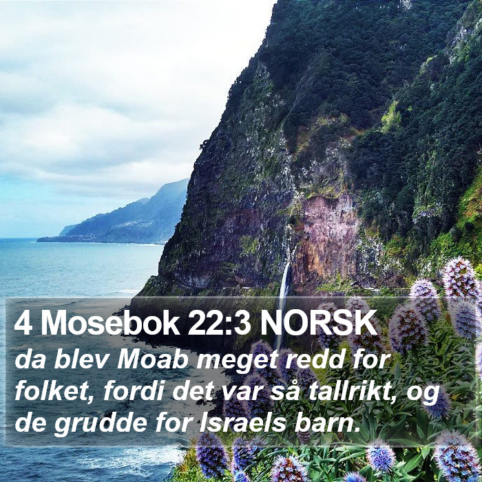 4 Mosebok 22:3 NORSK Bible Study