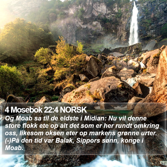 4 Mosebok 22:4 NORSK Bible Study