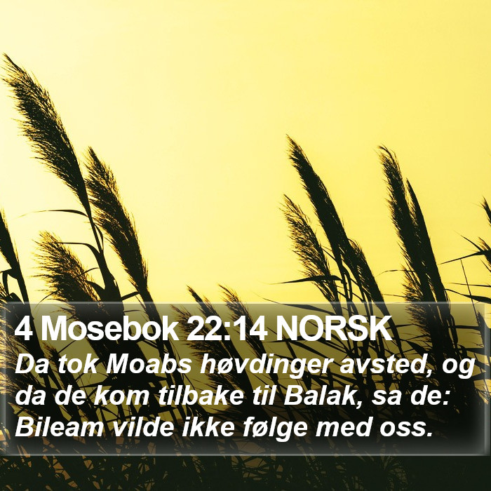 4 Mosebok 22:14 NORSK Bible Study