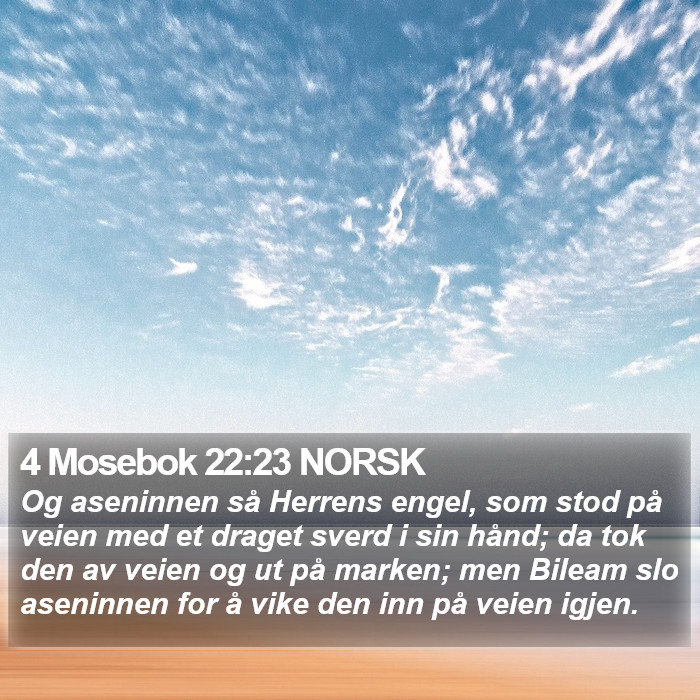 4 Mosebok 22:23 NORSK Bible Study