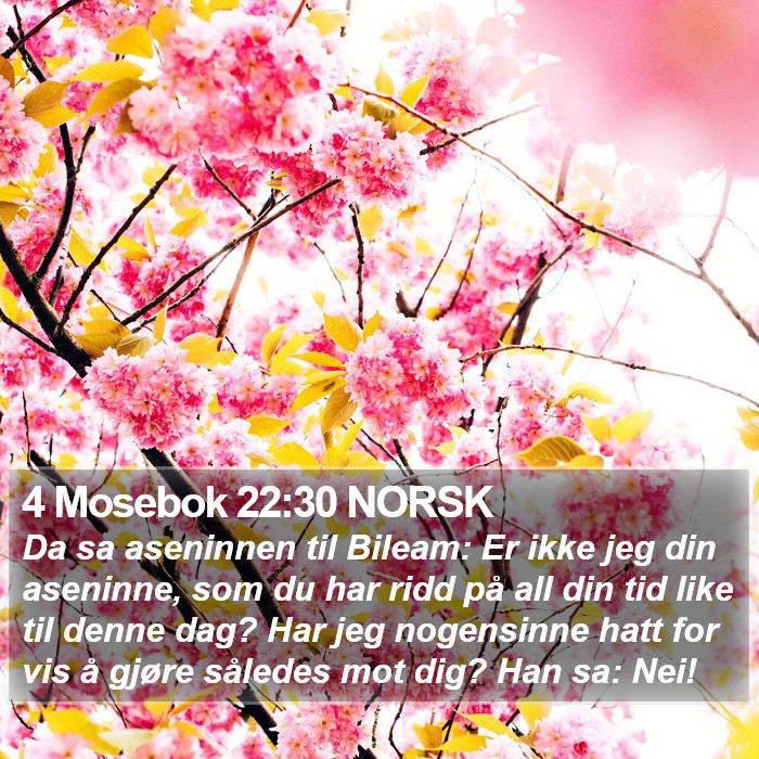 4 Mosebok 22:30 NORSK Bible Study