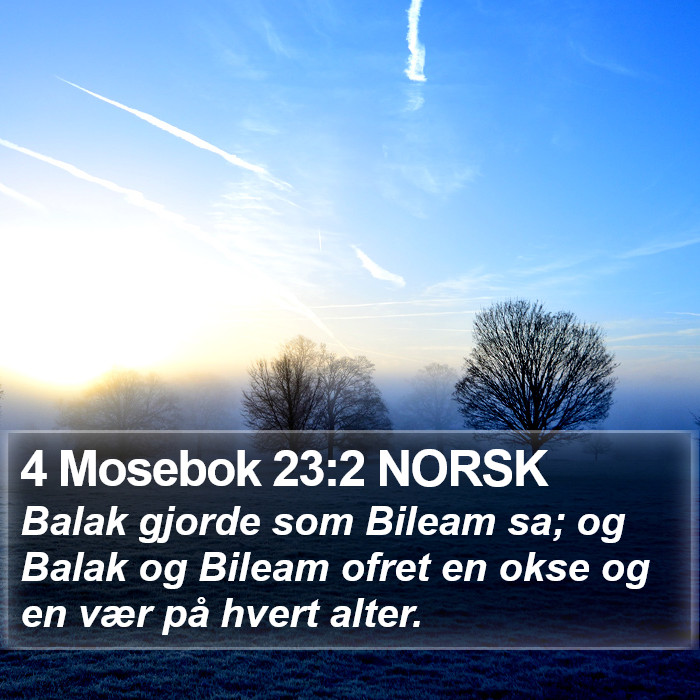 4 Mosebok 23:2 NORSK Bible Study