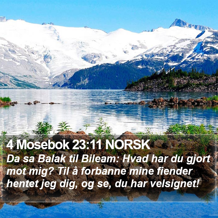 4 Mosebok 23:11 NORSK Bible Study