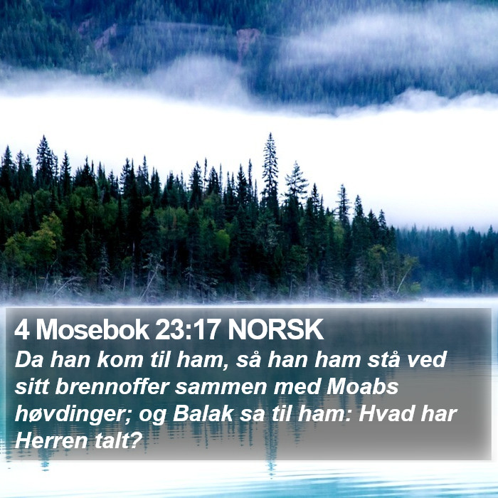 4 Mosebok 23:17 NORSK Bible Study