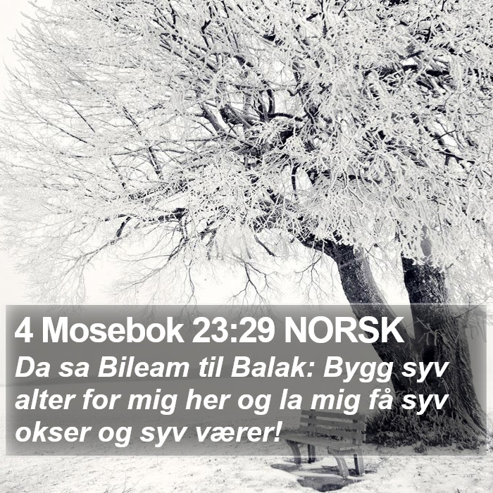 4 Mosebok 23:29 NORSK Bible Study