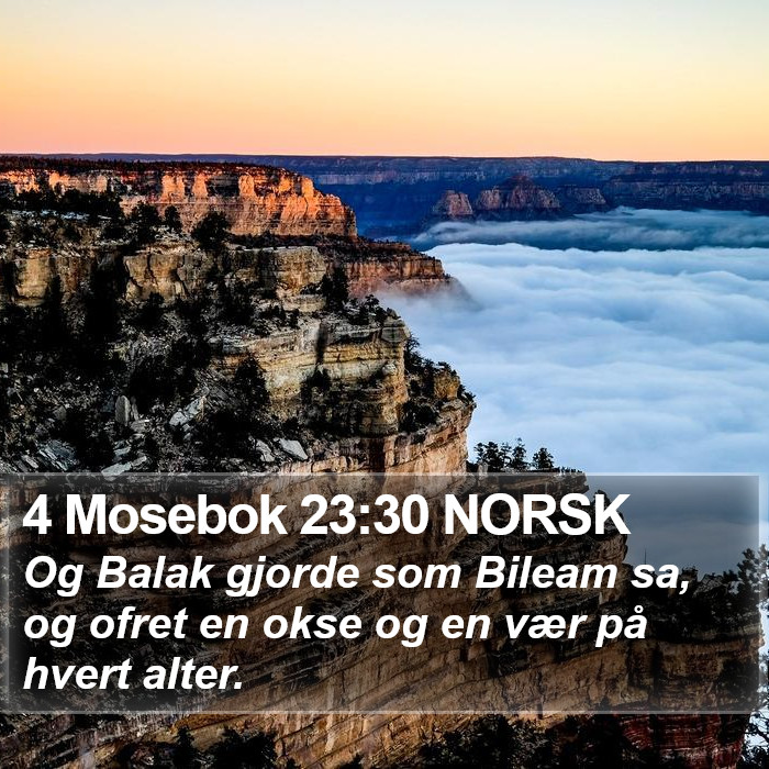 4 Mosebok 23:30 NORSK Bible Study