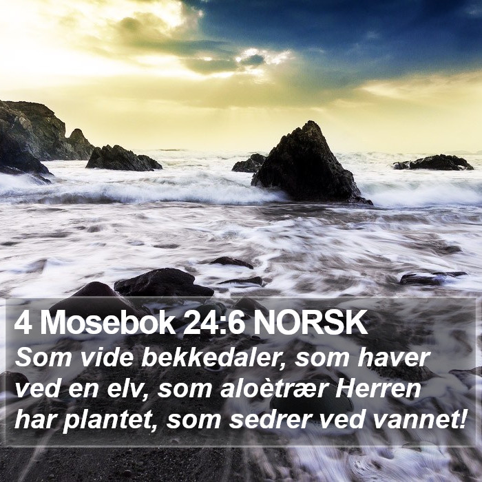 4 Mosebok 24:6 NORSK Bible Study