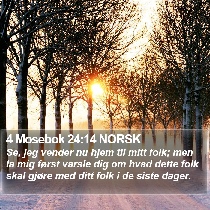 4 Mosebok 24:14 NORSK Bible Study