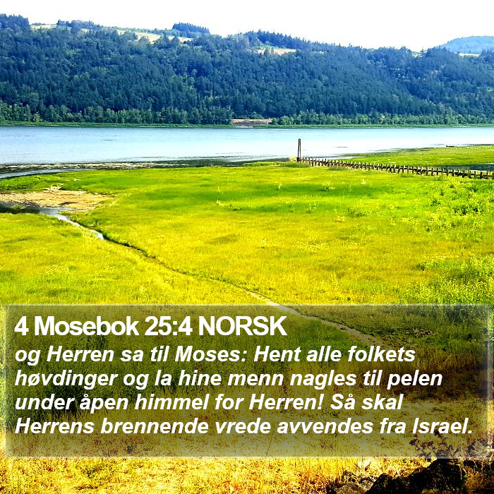 4 Mosebok 25:4 NORSK Bible Study