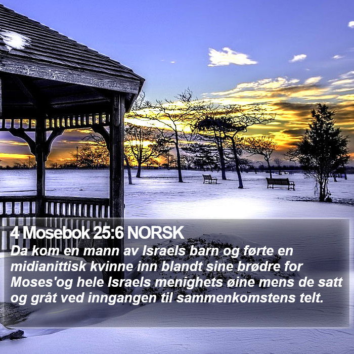 4 Mosebok 25:6 NORSK Bible Study