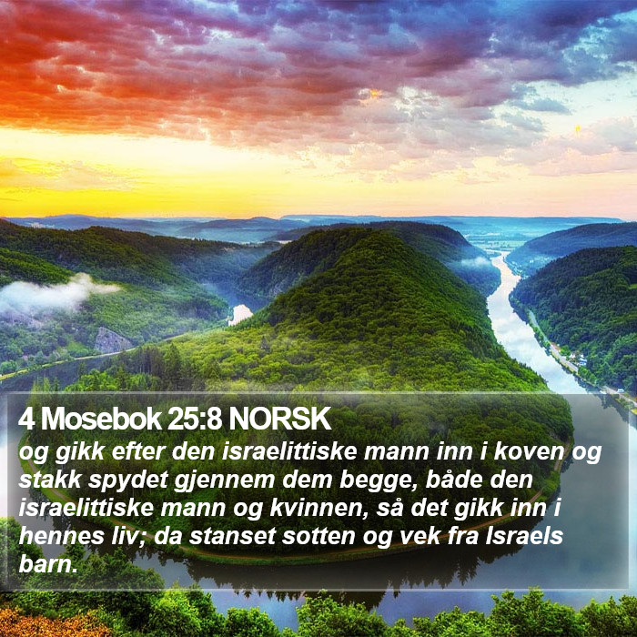 4 Mosebok 25:8 NORSK Bible Study