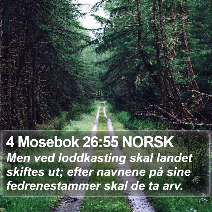 4 Mosebok 26:55 NORSK Bible Study