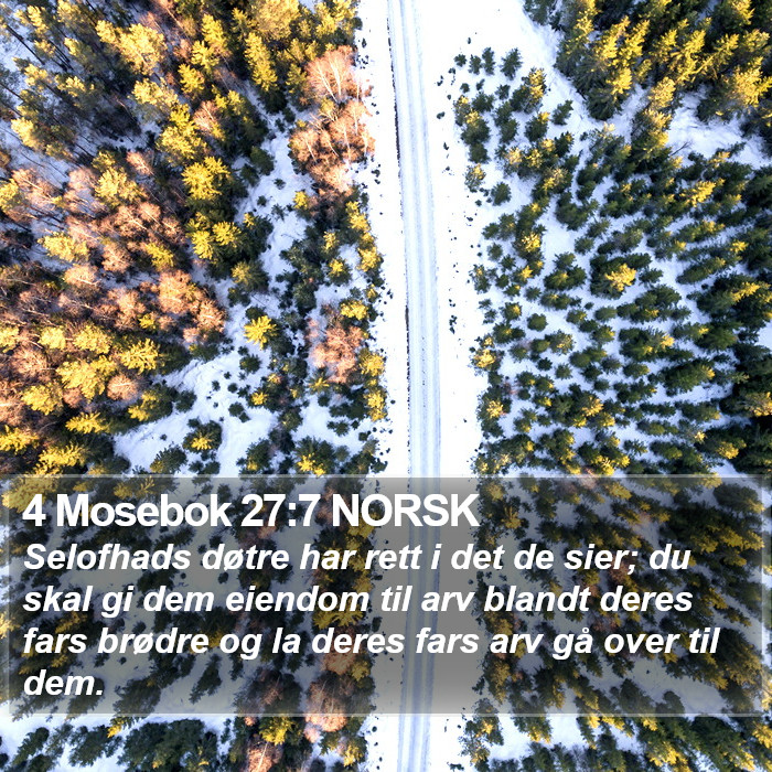 4 Mosebok 27:7 NORSK Bible Study