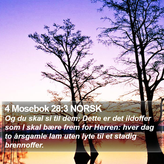 4 Mosebok 28:3 NORSK Bible Study