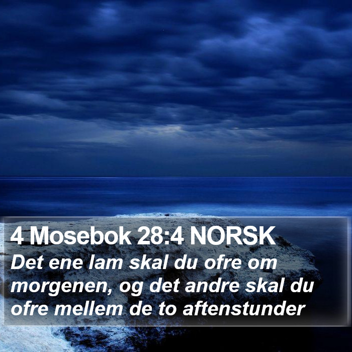 4 Mosebok 28:4 NORSK Bible Study