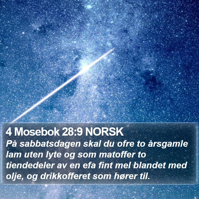 4 Mosebok 28:9 NORSK Bible Study