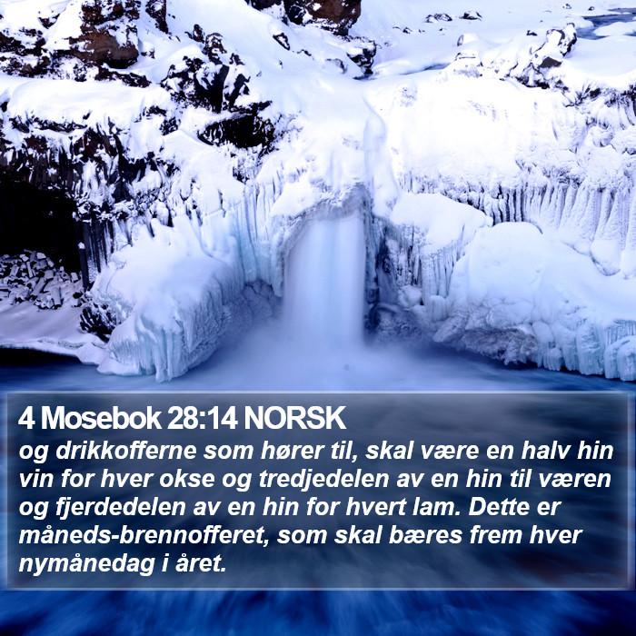 4 Mosebok 28:14 NORSK Bible Study