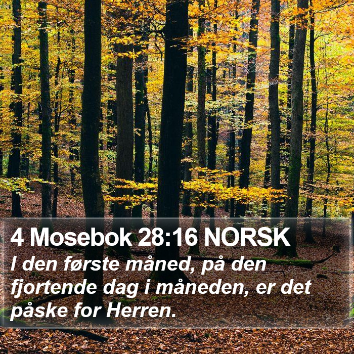 4 Mosebok 28:16 NORSK Bible Study