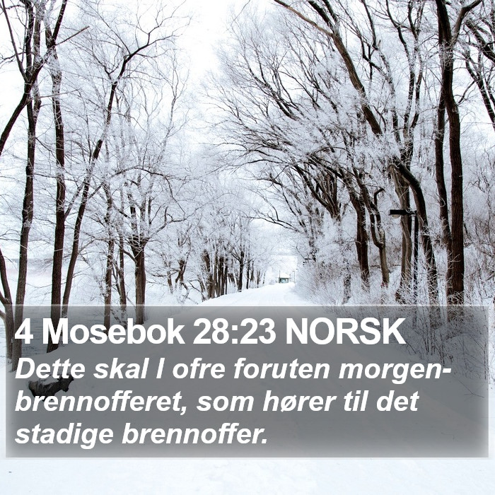 4 Mosebok 28:23 NORSK Bible Study