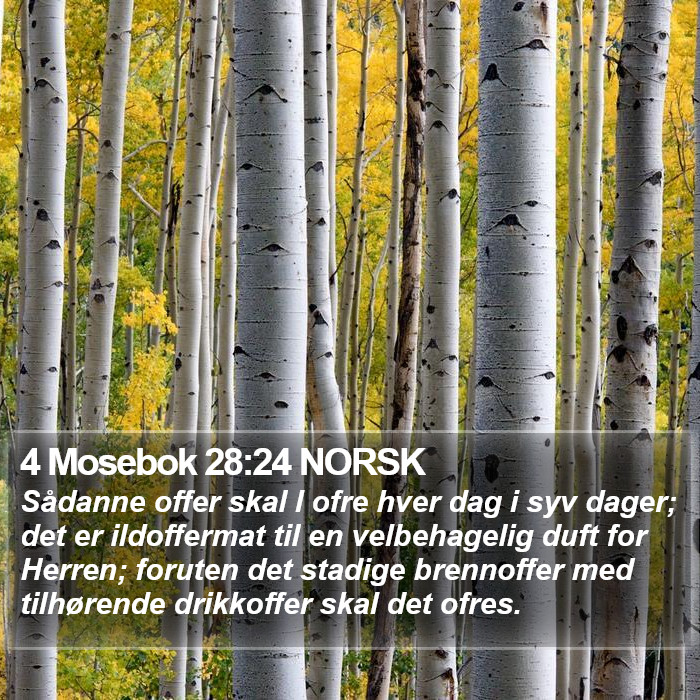 4 Mosebok 28:24 NORSK Bible Study