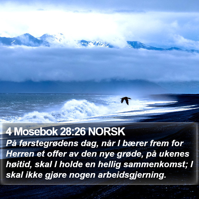 4 Mosebok 28:26 NORSK Bible Study