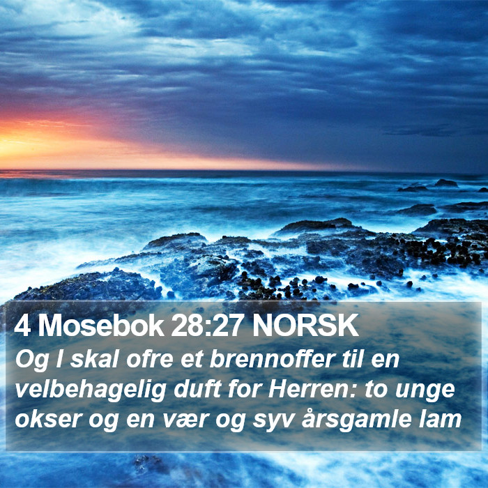 4 Mosebok 28:27 NORSK Bible Study