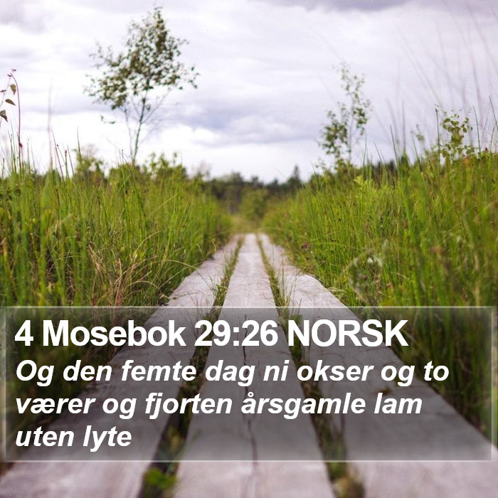 4 Mosebok 29:26 NORSK Bible Study