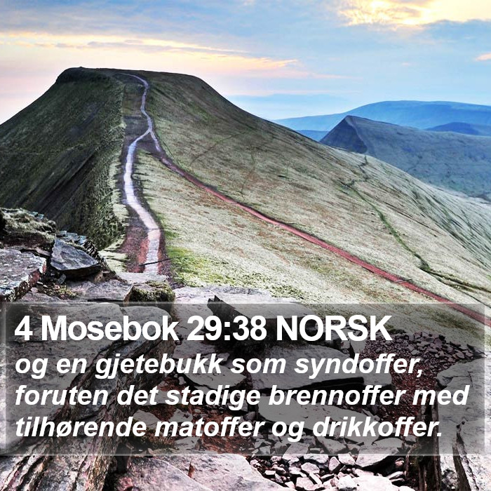 4 Mosebok 29:38 NORSK Bible Study