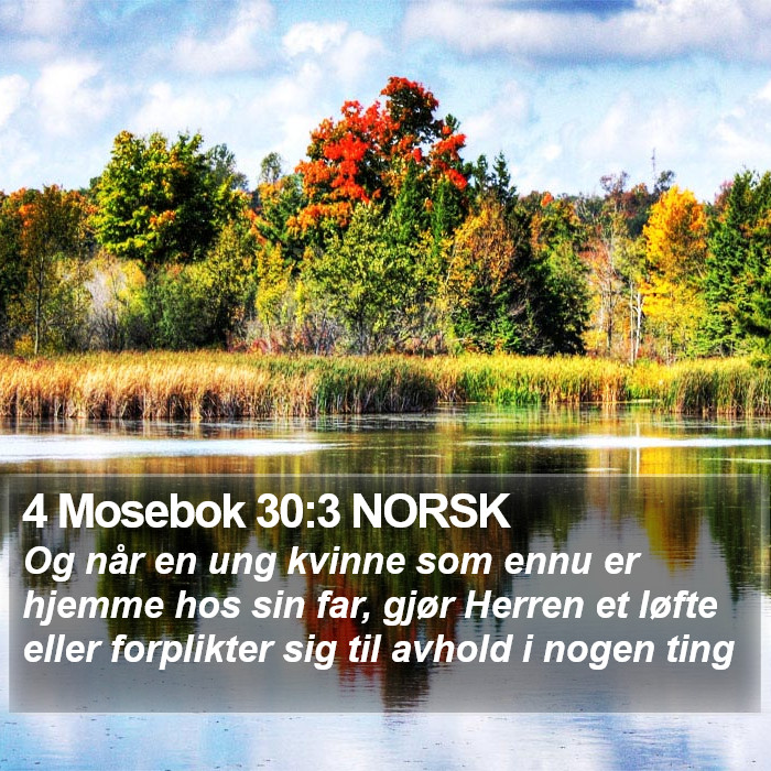 4 Mosebok 30:3 NORSK Bible Study