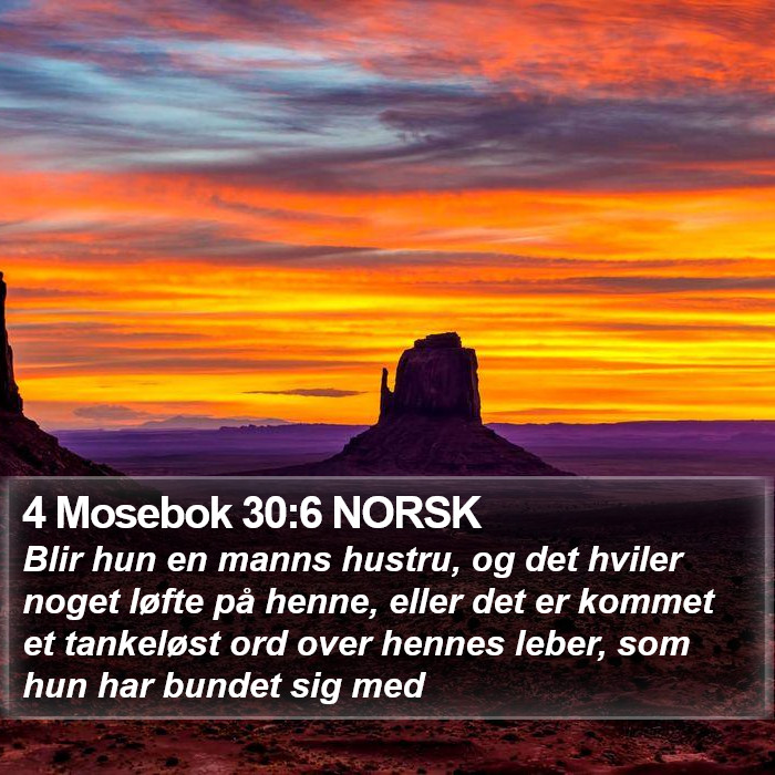 4 Mosebok 30:6 NORSK Bible Study