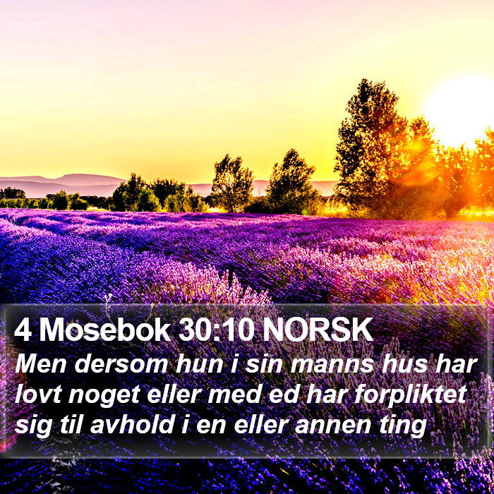 4 Mosebok 30:10 NORSK Bible Study