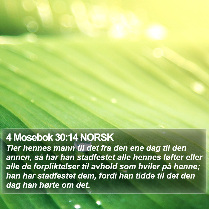 4 Mosebok 30:14 NORSK Bible Study