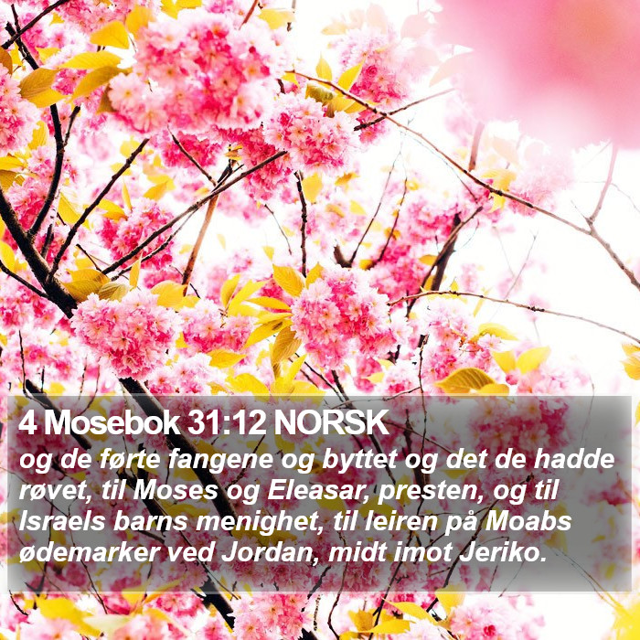 4 Mosebok 31:12 NORSK Bible Study