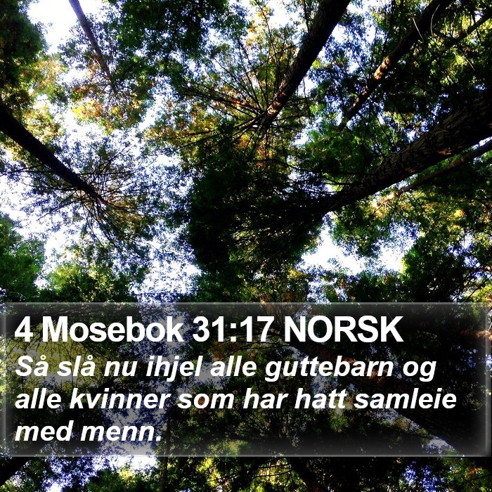 4 Mosebok 31:17 NORSK Bible Study