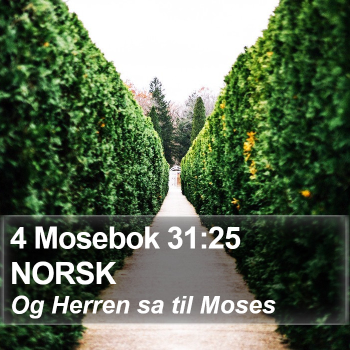 4 Mosebok 31:25 NORSK Bible Study