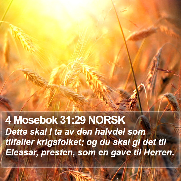 4 Mosebok 31:29 NORSK Bible Study