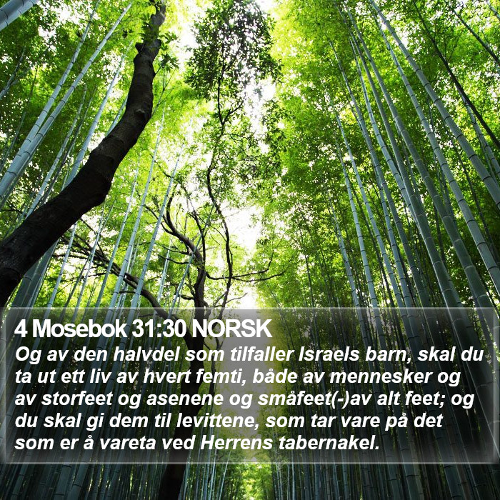 4 Mosebok 31:30 NORSK Bible Study