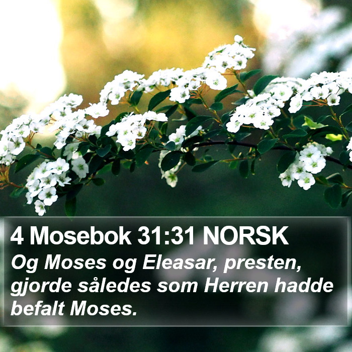 4 Mosebok 31:31 NORSK Bible Study