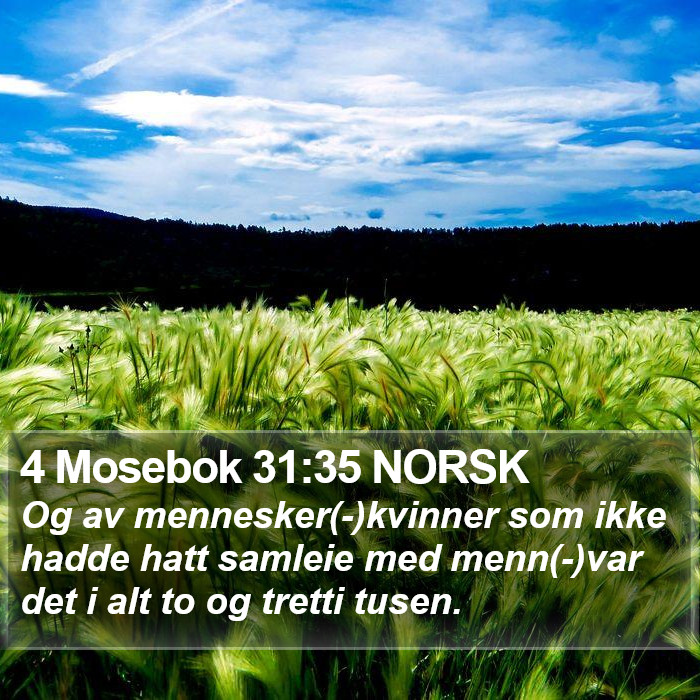 4 Mosebok 31:35 NORSK Bible Study