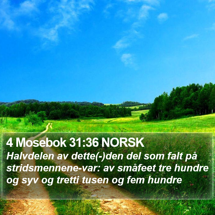 4 Mosebok 31:36 NORSK Bible Study